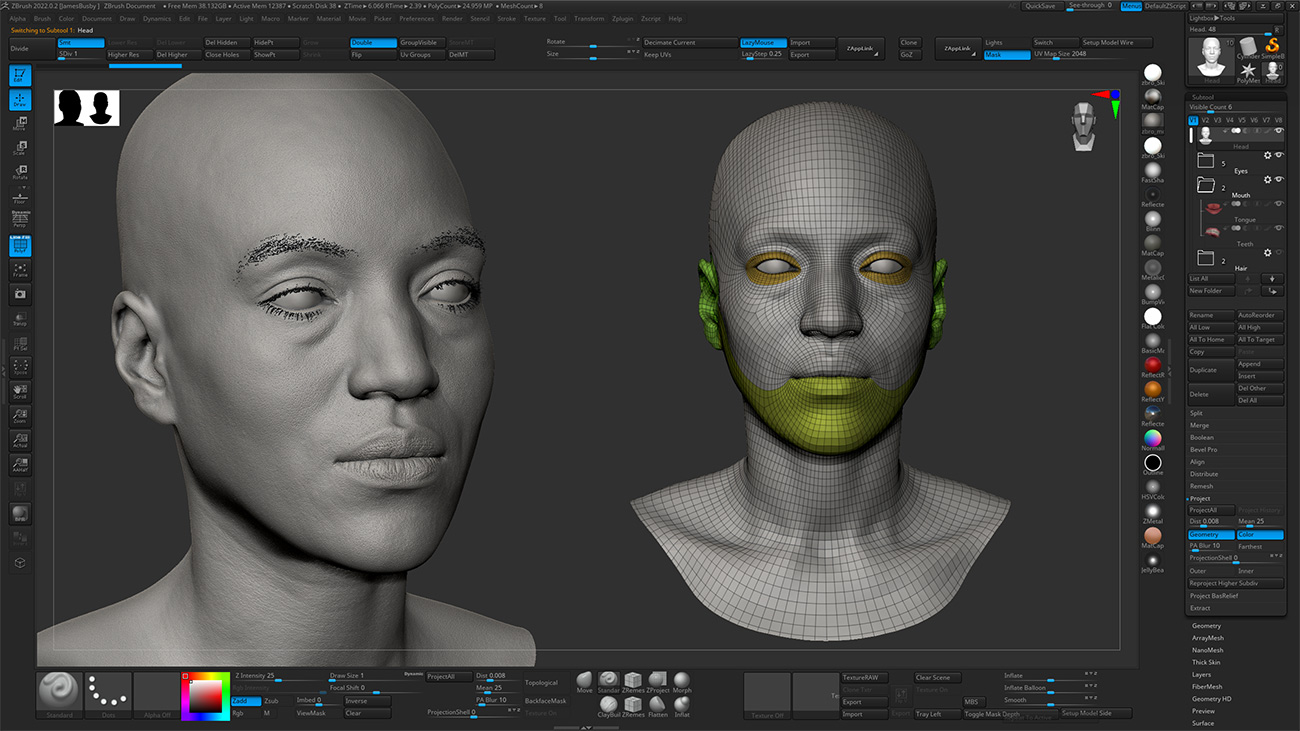 Download Zbrush head sculpt